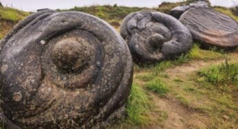 Misteri Batu Hidup yang Tumbuh dan Bergerak Belum Terpecahkan di Bucharest, Rumania