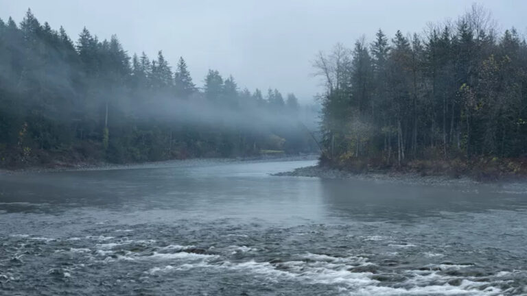 Apa Itu Hantu Balum Bili, Sosok Mistis Penunggu Sungai di Aceh?