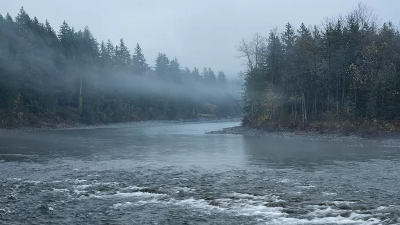 Apa Itu Hantu Balum Bili, Sosok Mistis Penunggu Sungai di Aceh?