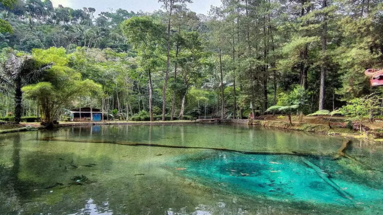 Keindahan dan Misteri Telaga Rambut Monte di Blitar