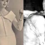 Eksperimen Ilmiah yang Terlalu Menyeramkan untuk Dibeberkan