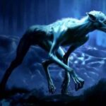 Legenda Serigala Jadi-Jadian: Ketika Ketakutan, Mitos, dan Kemanusiaan Bertemu