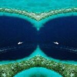 Palung Mariana: Misteri Laut Terendah di Dunia