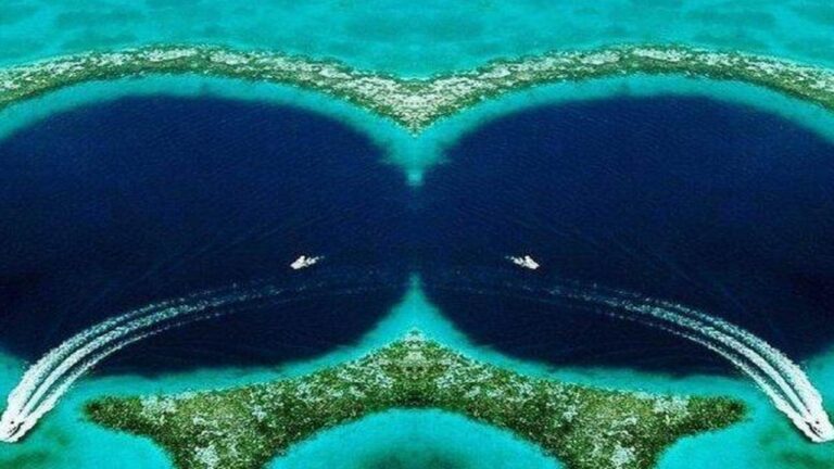 Palung Mariana: Misteri Laut Terendah di Dunia