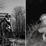 Misteri Makhluk dari Dunia Lain yang Menghantui Sejarah