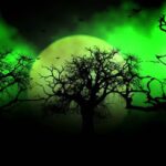 Bayangan di Balik Hutan Larangan yang Tak Pernah Pulang, Misteri yang Masih Hidup