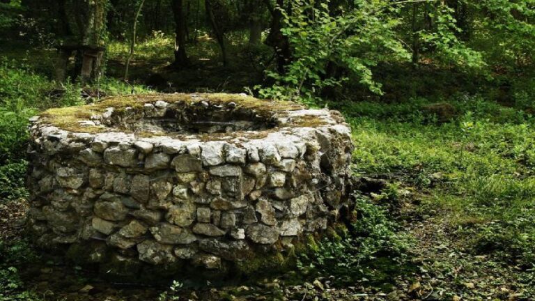 Legenda Sumur Tua: Suara Tangisan dari Kedalaman Tanpa Dasar yang Menghantui Warga